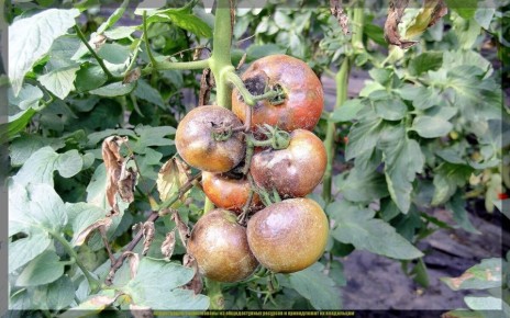 ��� �������� �������� � ��������� �� ���������: ������ ��� ���������