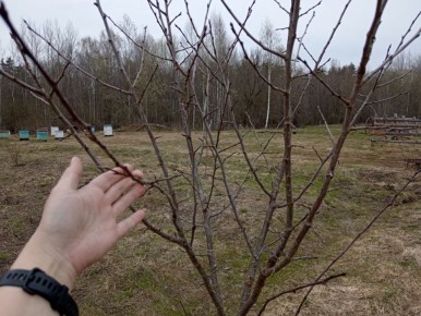 ����� ������� ��������� ����� ����� ��� ������� � �������� ������?