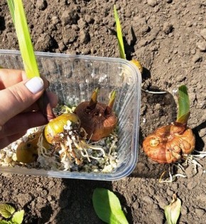 ������� �������� ������� �����������: ��� �������� ������ ����������