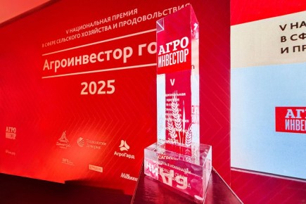 ������� �������� ������� �� ������������� ������� High Focus