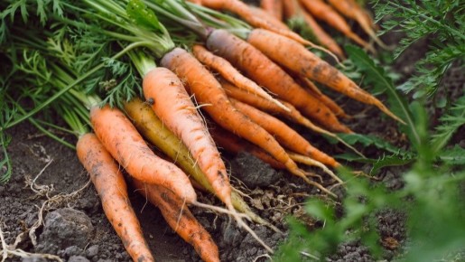 ��� ���������� �� �������: ��� ����������� ������� ��� �������� ������