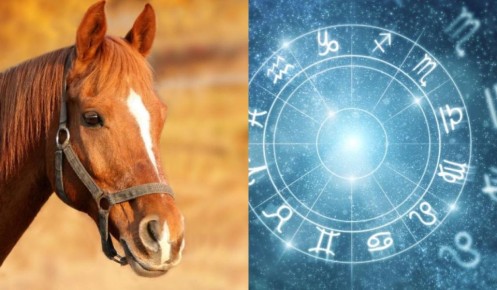 ����� ������� � �� ��������� ��������