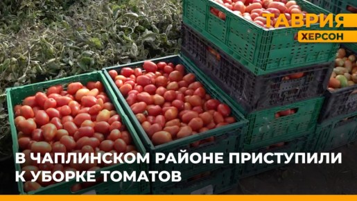������ ���� ������ ������� � ���������� ������