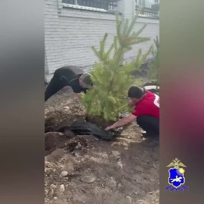 ������� ���������� ��� �� ���������� ���� ������ ������� � ���������� ���������� �������������� ������ � ������