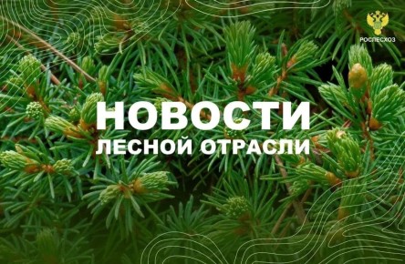 ��� ������: ���� ������� ��������� ��������� �������������� ������ ������� �������� �����