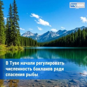 � ���� �� ������ ������ ��� ������ ����� 50 �������� ��� �������� ����