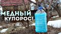 ��������� ������� �������� � ���: �������������� ����������� ��� ��������