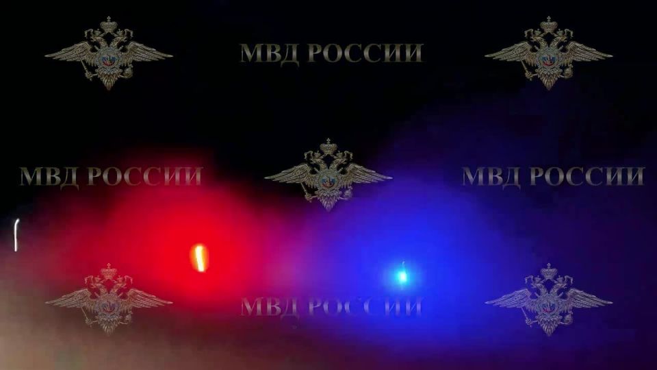 Ирина Волк: В Республике Тыва мои коллеги из Госавтоинспекции МВД по Республике Тыва применили огнестрельное оружие для остановки нетрезвой нарушительницы