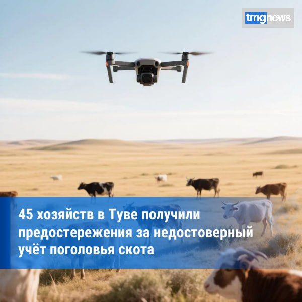 Россельхознадзор с помощью дронов выявил расхождения в учёте сельхозживотных в Туве