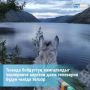 Тыва онза камгалалдыг бойдус девискээрлеринче кирер тлевирлерни эде крген – 2026 чылдан эгелеп чгле туристер болгаш аалчылар квдей берген елерде эвес, а бдн чыл дургузунда тлевирни алыр