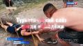 Кожууннардан медээлер. Дараазында кожууннардан медээлер