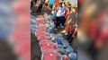 ����� ������ �������� ���������� ���������� ���������� ������� ������� - ���������� ������� ������������ ������ ���� �����������