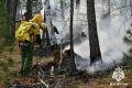 В Туве ликвидирован лесной пожар