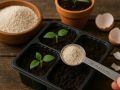 Обычный камень, который помогает растениям расти: секреты использования цеолита на даче