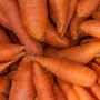 Как исправить ошибки при выращивании моркови и получить идеальный урожай