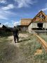 По поручению министра внутренних дел продолжается комплекс проверочных мероприятий по поиску пропавших несовершеннолетних