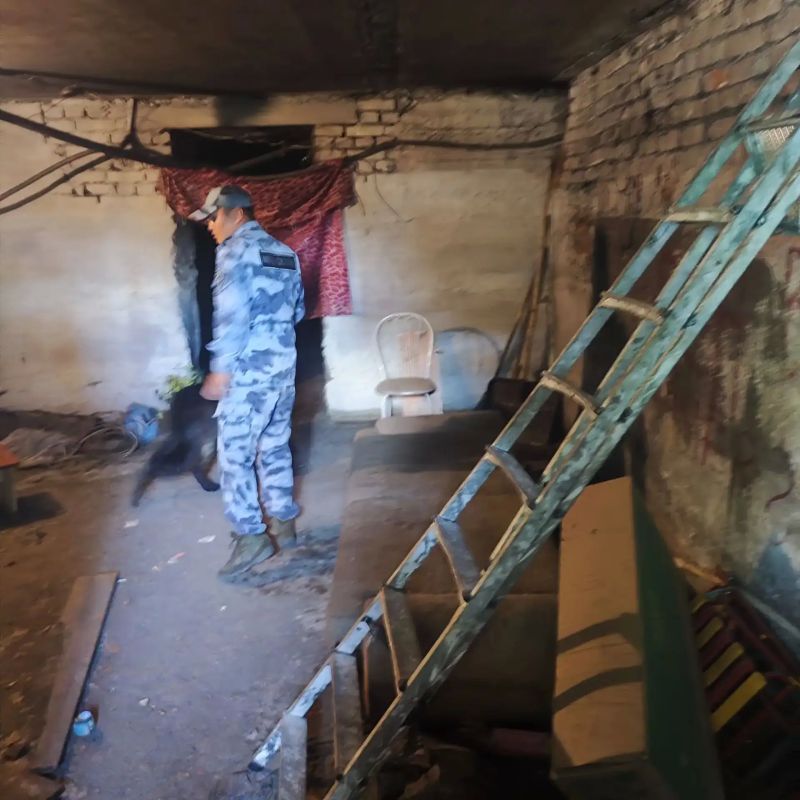 Сотрудники полиции продолжают поисковые и оперативно-розыскные мероприятия по установлению местонахождения пропавших несовершеннолетних Сотрудники полиции продолжают поисковые и оперативно-розыскные мероприятия по установлению местонахождения пропавших несовершеннолетних