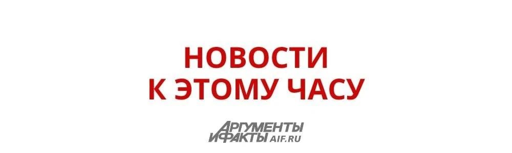 Россиянка помогала Киеву готовить теракт из-за романа с куратором — стали известны подробности о предотвращённых терактах