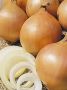 Лук Стригуновский: урожайный сорт с острым вкусом и неприхотливостью