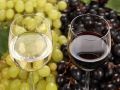 Вино из винограда: пошаговые рецепты для домашнего виноделия