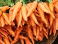 Май — пора для моркови: выбираем сорта и ухаживаем правильно