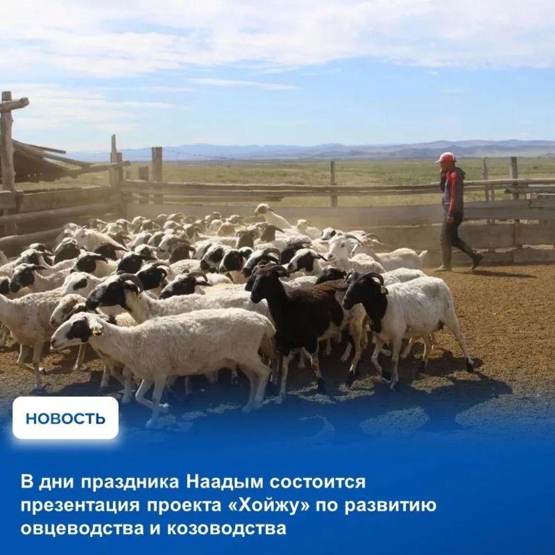 На аппаратном совещании в Правительстве Тувы рассмотрели оперативную обстановку, сложившуюся на прошедшей неделе, и обсудили готовность к национальному празднику Наадым На аппаратном совещании в Правительстве Тувы рассмотрели оперативную обстановку, сложившуюся на прошедшей неделе, и обсудили готовность к национальному празднику Наадым