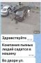 Благодаря сообщению неравнодушных граждан сотрудники Госавтоинспекции предотвратили возможную поездку нетрезвых водителей