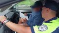 � ������ �������� ���������� ������� ��������� � ���������������� ��������������� �� ��������� ���