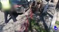В Республике Тыва судом вынесен обвинительный приговор участникам организованной преступной группы
