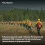 В регионах со сложной лесопожарной обстановкой продолжается усиление группировок для тушения лесных пожаров