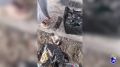 � ���� �������� ����������� �� ������ ������������� ������� ������������ ������� �������� ���� �������� ����������� ��������� � ������������ �����