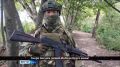 Привет от СВОих!. Специальная рубрика «Привет от СВОих!»