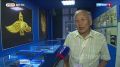 Делгелгелер ажыттынган. Национал музейге "Россияны музейлеринде богда шажынны нелиг тураскаалдары" болгаш "Чиге-Тей-1"-ни делгелгелерин байырлыг байдалга ажыткан