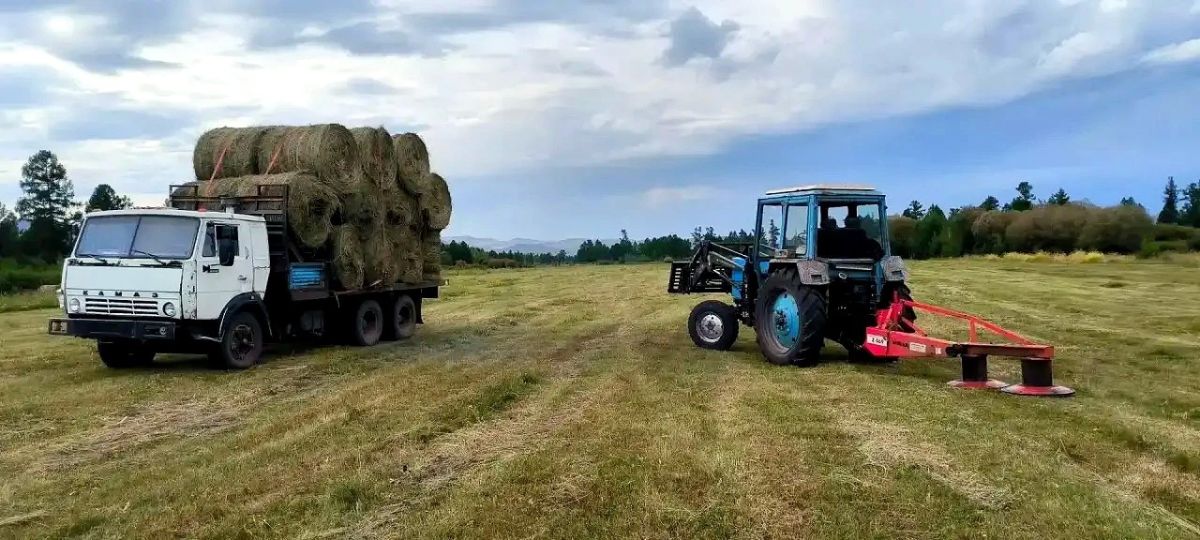 Владислав Ховалыг: В Туве продолжается уборочная кампания Владислав Ховалыг: В Туве продолжается уборочная кампания