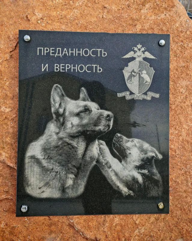 Кинологи МВД по Республике Тыва обменялись опытом с коллегами из Красноярского края Кинологи МВД по Республике Тыва обменялись опытом с коллегами из Красноярского края