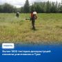 � ���� � ������� �������� �������� ���������� �������� ����� ���������������� ��� �� ����������� ������������ �������