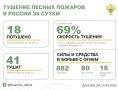 За прошедшие сутки в 10 регионах России потушили 18 лесных пожаров