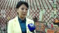 Защита авторских прав. 14–15 сентября в Центре развития тувинской традиционной культуры и ремёсел в Кызыле проходит практический семинар по вопросам интеллектуальных и смежных прав