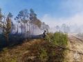 Лесопожарная обстановка в Туве по состоянию на 16 сентября