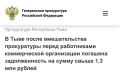В Тыве после вмешательства прокуратуры перед работниками коммерческой организации погашена задолженность на сумму свыше 1,3 млн рублей