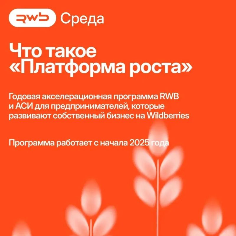 Приглашаем предпринимателей присоединиться к программе «Платформа роста» от RWB Приглашаем предпринимателей присоединиться к программе «Платформа роста» от RWB