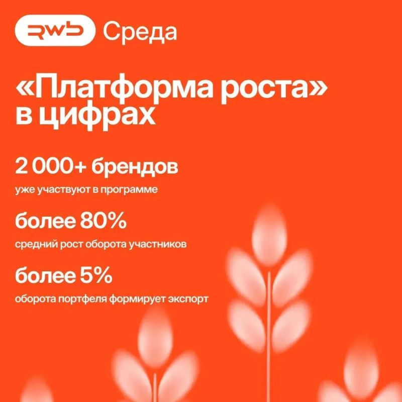 Приглашаем предпринимателей присоединиться к программе «Платформа роста» от RWB Приглашаем предпринимателей присоединиться к программе «Платформа роста» от RWB