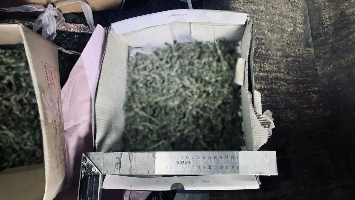 В Кызыле наркополицейские раскрыли факт незаконного хранения наркотических средств в крупном размере В Кызыле наркополицейские раскрыли факт незаконного хранения наркотических средств в крупном размере