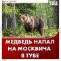 Турист из Москвы умер после нападения медведя в Туве
