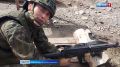 Фронтудан байыр!. "Фронтудан байыр!"