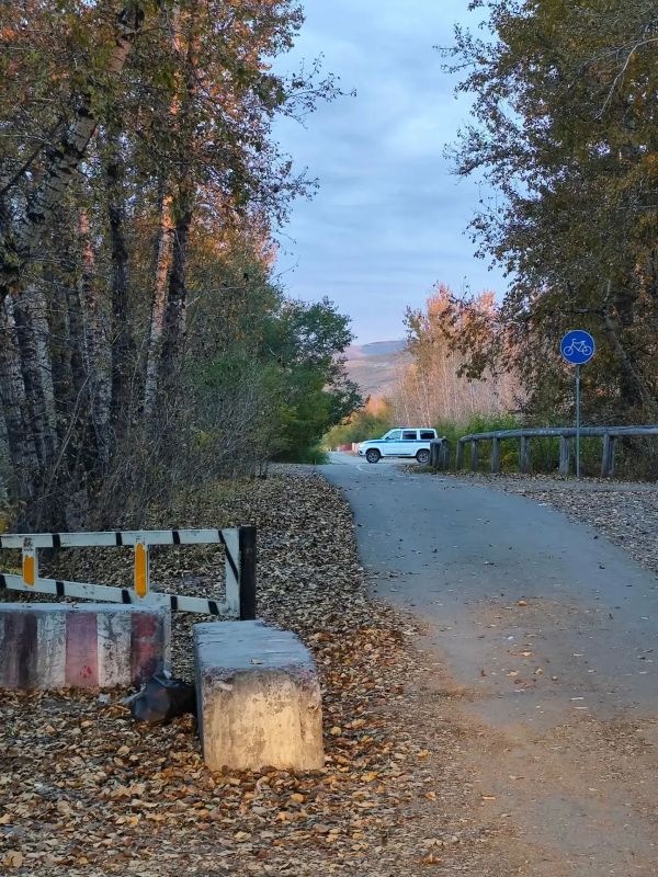 В НАЦИОНАЛЬНОМ ПАРКЕ КУЛЬТУРЫ И ОТДЫХА Г. КЫЗЫЛА ЗАМЕЧЕН МЕДВЕДЬ! В НАЦИОНАЛЬНОМ ПАРКЕ КУЛЬТУРЫ И ОТДЫХА Г. КЫЗЫЛА ЗАМЕЧЕН МЕДВЕДЬ!