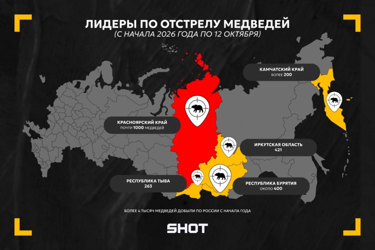 Уже более 4 тысяч медведей отстрелили в России с начала 2026 года — данные SHOT