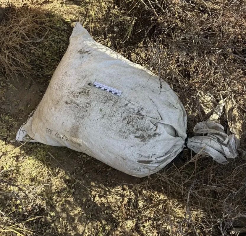 В Дзун-Хемчикском районе полицейские изъяли более 6,5 килограммов марихуаны у местного жителя В Дзун-Хемчикском районе полицейские изъяли более 6,5 килограммов марихуаны у местного жителя