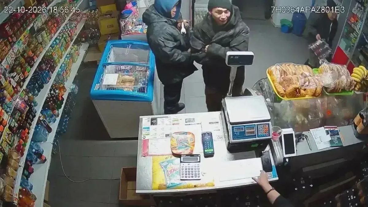 Внимание, розыск!. 22 октября около 19.00 с возле СТО, расположенной по ул. Иркутской, был похищен щенок породы Питбуль Внимание, розыск!. 22 октября около 19.00 с возле СТО, расположенной по ул. Иркутской, был похищен щенок породы Питбуль