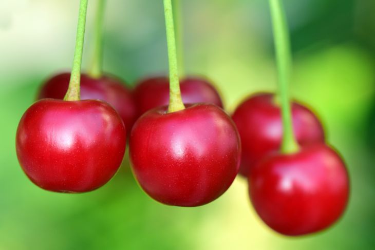 Как варить варенье из вишни: 3 способа приготовить отменную по вкусу сладость